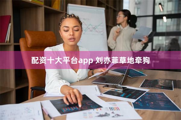 配资十大平台app 刘亦菲草地牵狗