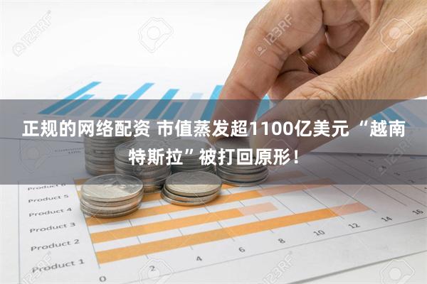 正规的网络配资 市值蒸发超1100亿美元 “越南特斯拉”被打回原形！