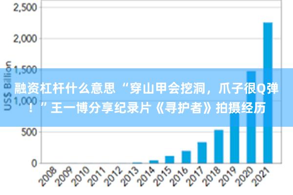 融资杠杆什么意思 “穿山甲会挖洞，爪子很Q弹！”王一博分享纪录片《寻护者》拍摄经历