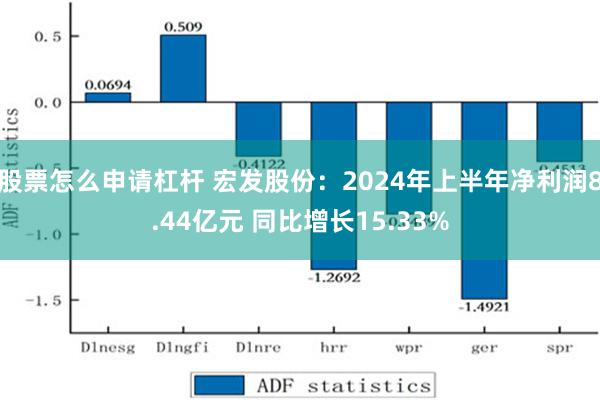 股票怎么申请杠杆 宏发股份：2024年上半年净利润8.44亿元 同比增长15.33%