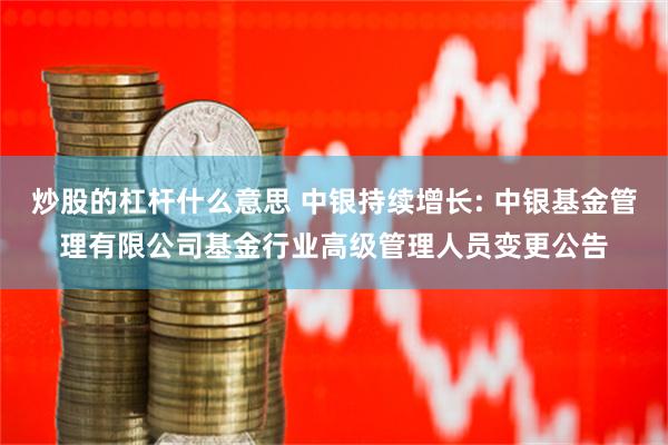 炒股的杠杆什么意思 中银持续增长: 中银基金管理有限公司基金行业高级管理人员变更公告