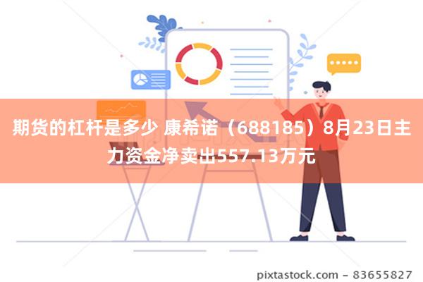 期货的杠杆是多少 康希诺（688185）8月23日主力资金净卖出557.13万元