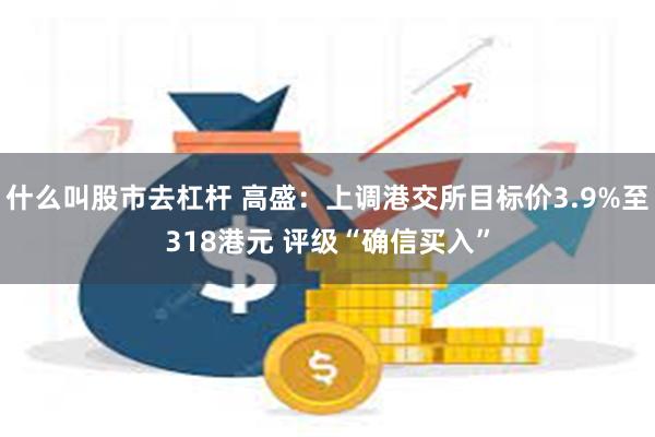 什么叫股市去杠杆 高盛：上调港交所目标价3.9%至318港元 评级“确信买入”