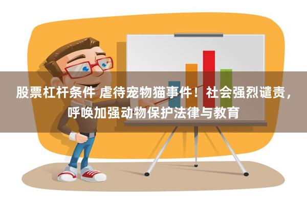 股票杠杆条件 虐待宠物猫事件！社会强烈谴责，呼唤加强动物保护法律与教育