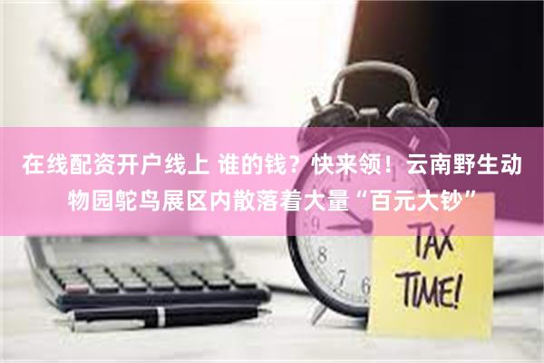 在线配资开户线上 谁的钱？快来领！云南野生动物园鸵鸟展区内散落着大量“百元大钞”