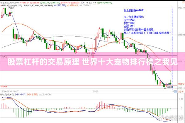   股票杠杆的交易原理 世界十大宠物排行榜之我见