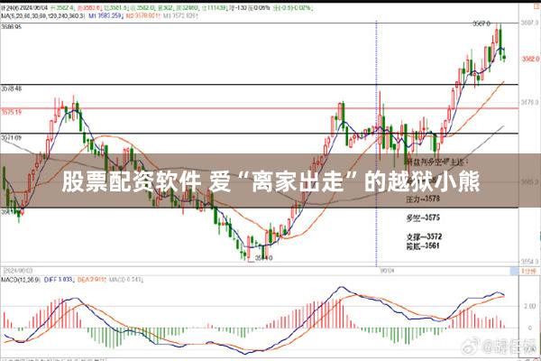 股票配资软件 爱“离家出走”的越狱小熊