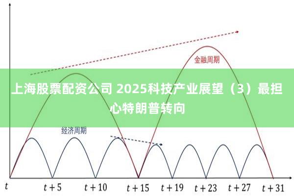   上海股票配资公司 2025科技产业展望（3）最担心特朗普转向