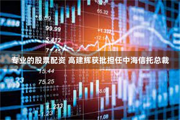 专业的股票配资 高建辉获批担任中海信托总裁