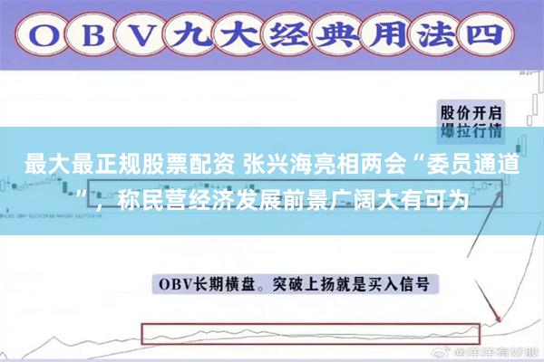 最大最正规股票配资 张兴海亮相两会“委员通道”，称民营经济发展前景广阔大有可为