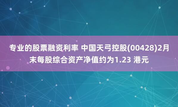 专业的股票融资利率 中国天弓控股(00428)2月末每股综合资产净值约为1.23 港元